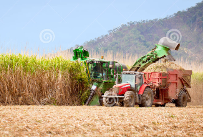 Also commonly called regular sugar or white sugar, granulated sugar is refined sugar that food processors whiten and grind into a size similar to table salt.